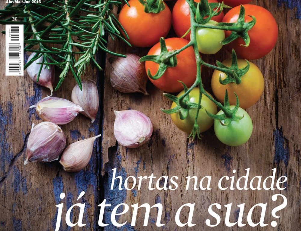 HORTAS NA CIDADE – JÁ TEM A SUA?