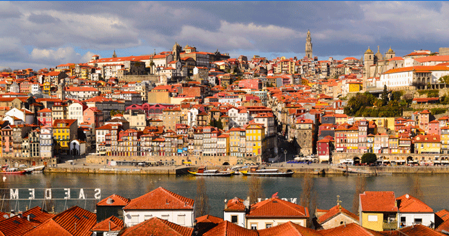 Porto: jardins e plantas nos telhados para combater o calor, diz estudo da Universidade de Aveiro