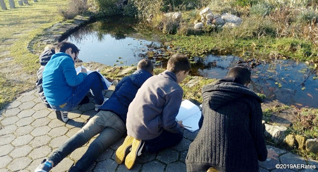 Grande Porto: Mais de 1500 alunos já experimentaram a natureza como sala de aula