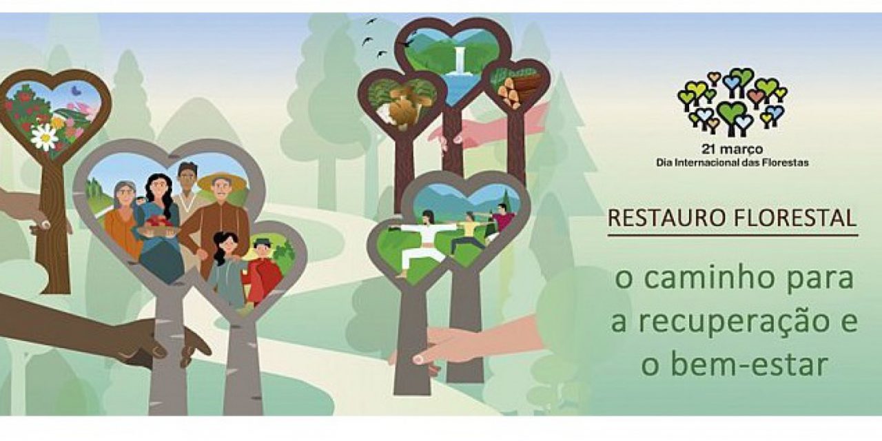 A Primavera está a chegar e ICNF tem 50 mil árvores para dar