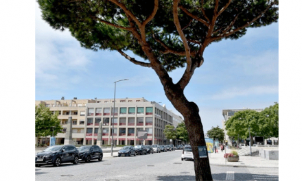 Vila do Conde adere ao Green City Makers e convida munícipes a regar as árvores das ruas