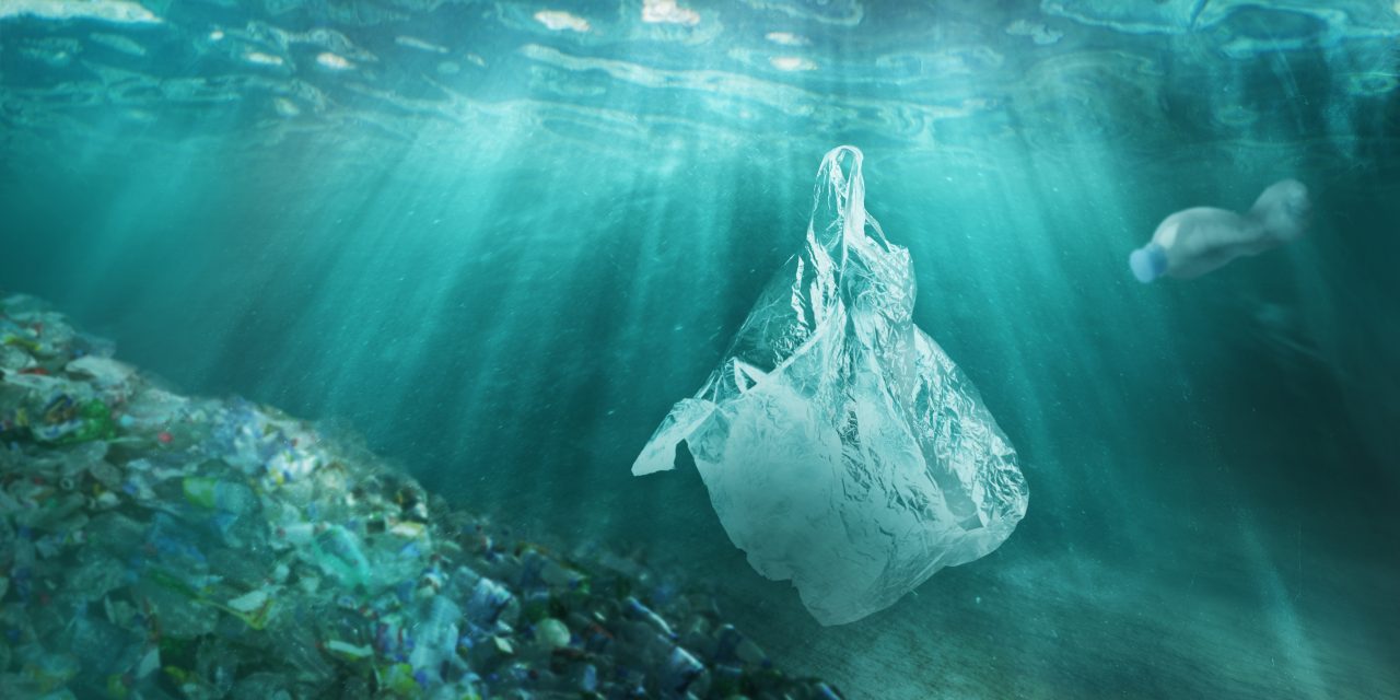 Países da ONU comprometem-se a criar acordo mundial contra a poluição por plástico
