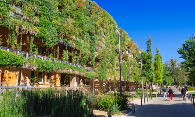 NetZeroCities tem 32 milhões de euros para transformar cidades em “tubos de ensaio” para a neutralidade climática