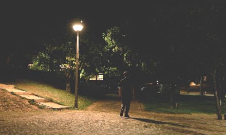 Coimbra promove soluções de iluminação pública inteligentes