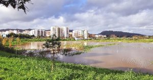 Greening Cities, o novo tema prioritário da Agenda Urbana para a UE