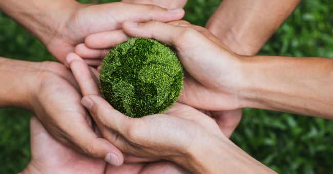 Economia donut: um modelo económico alternativo em prol da Humanidade e do Planeta