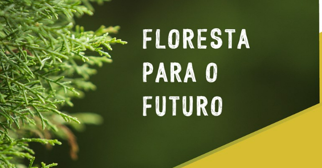 SerQ organiza workshop “Floresta para o Futuro”