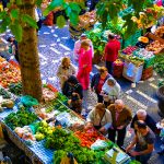 Funchal prepara lançamento de Estratégia Alimentar e inauguração do “Funlab”