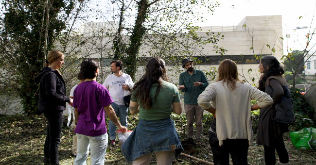 Miniflorestas: um terreno fértil para as cidades