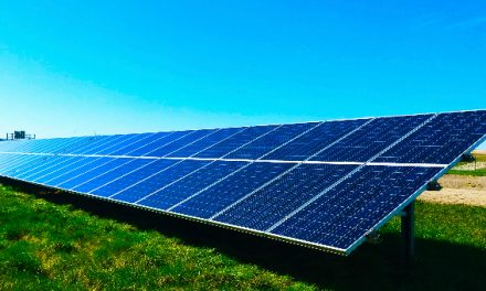 Projeto “Porto Solar” leva energia renovável a 29 edifícios municipais