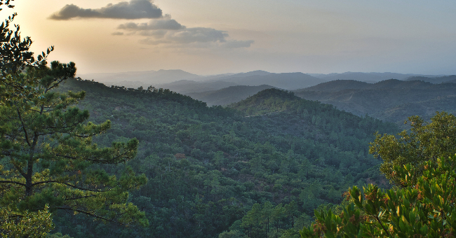 Serras algarvias são a zona do país com mais área para renaturalizar