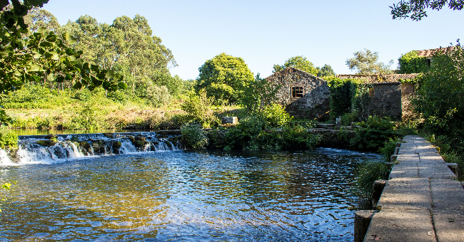 Novo Bauhaus Europeu desafia cidades e regiões a reimaginar espaços comuns