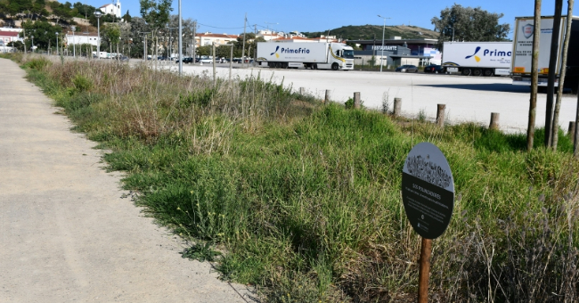 Instalação de prados em espaços verdes de Torres Vedras