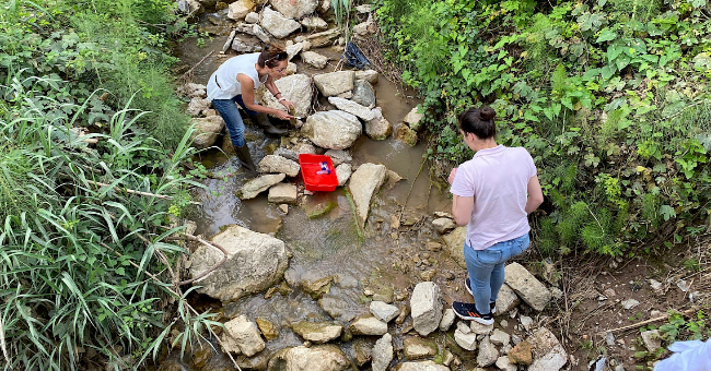 Ribeiras urbanas estão poluídas por grande diversidade de fármacos, diz estudo português