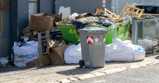Estado do Ambiente: Relatório identifica mais lixo, mais produção biológica e menos emissões