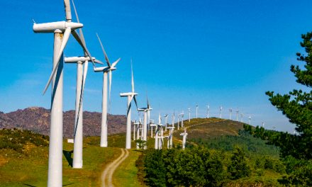 Estado do Ambiente: Gases com efeito de estufa e dependência energética diminuíram em 2023