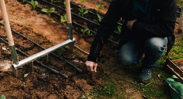 Iniciativas locais contrariam hábitos de consumo nas cidades