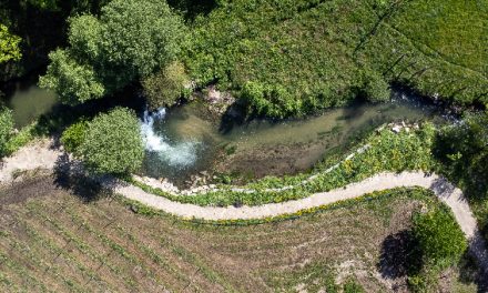 Anos de preparação deram a Guimarães título de Capital Verde Europeia 2026
