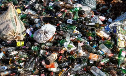 ZERO contra “investimento injustificado” na incineração