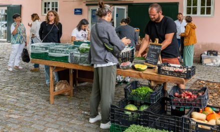Como contribuem as cidades para um sistema alimentar mais sustentável?