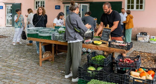 Como contribuem as cidades para um sistema alimentar mais sustentável?